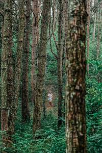 BIB: 
                            <button type="button" onclick="openModal(25235642)" class="btn btn-primary btn-sm float-right btn-popup" data-toggle="modal" data-target=".modal-high-quality">
                        <i class="fas fa-shopping-cart"></i> Add to Cart
                    </button>
                                            <button type="button" onclick="isThisMe(25235642, true)" class="btn btn-success btn-sm float-right btn-popup btn-isme hidden" data-toggle="tooltip" data-placement="bottom" title="นี่คือรูปของคุณใช่ไหม คลิกที่นี่เพื่อเอาเข้าอัลบั้ม">
                        <i class="fas fa-plus"></i> Add to album
                    </button>
                    <button type="button" onclick="isThisMe(25235642, false)" class="btn btn-warning btn-sm float-right btn-popup btn-isnotme hidden">
                        <i class="fas fa-ban"></i> Remove from album
                    </button>